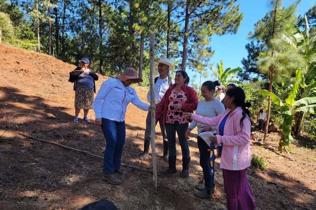 Gobierno de Honduras apoya a Grupo Productivo de La Paz en Proyecto de Agricultura